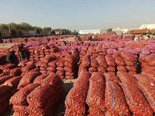 Mahuva Market Increase in prices of groundnut red and white onion wheat sesame and coconut
