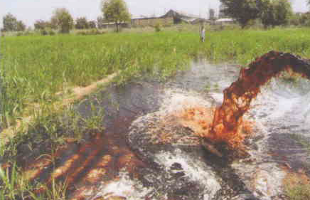 Red water havoc in Indrad village Farmers forced to migrate due to chemical pollution allegations against GPCB