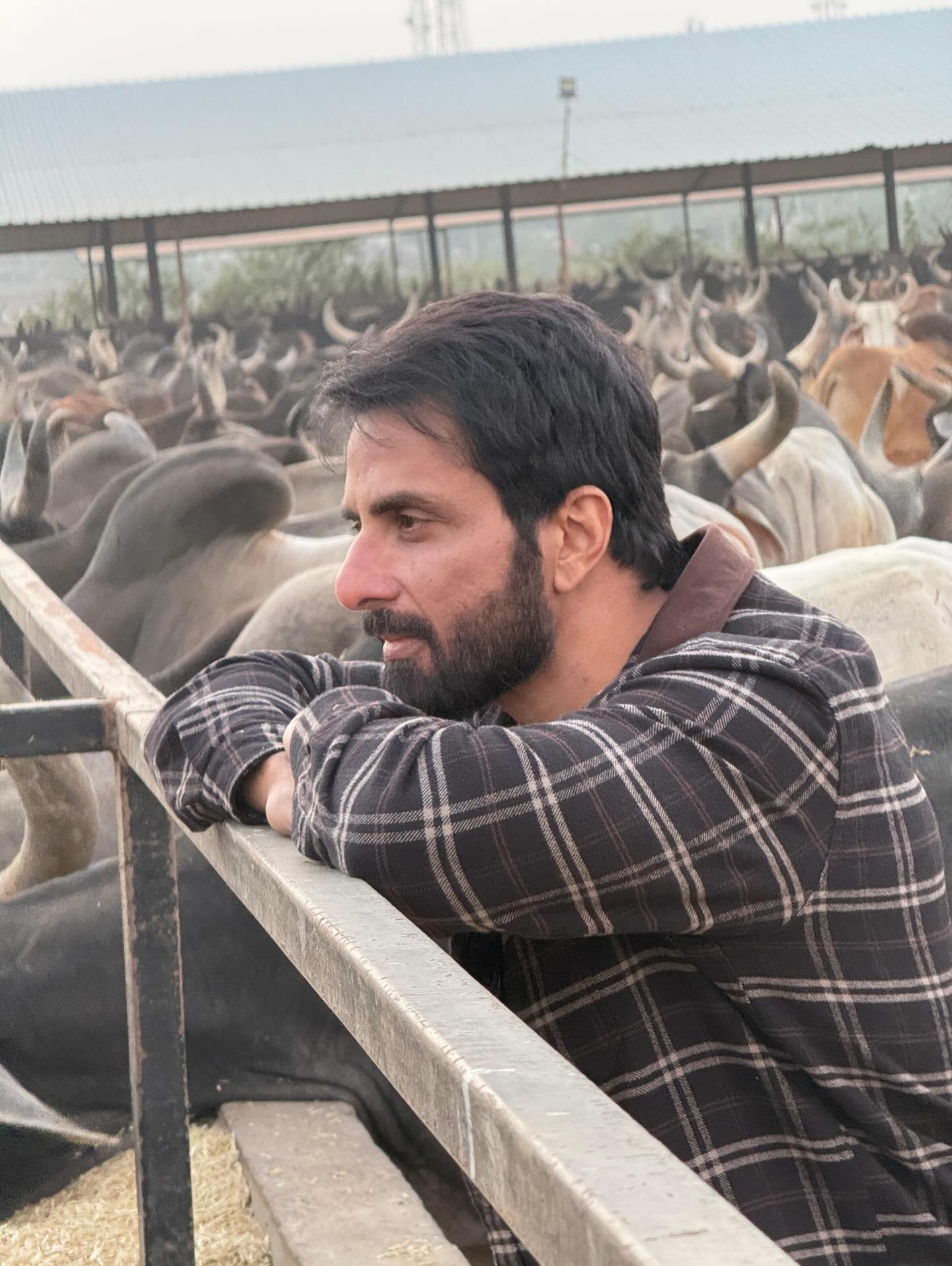 Sonu Sood donates a total of ₹22 lakh to Gujarats Varahi and Golap Nesda Gaushalas for animal welfare