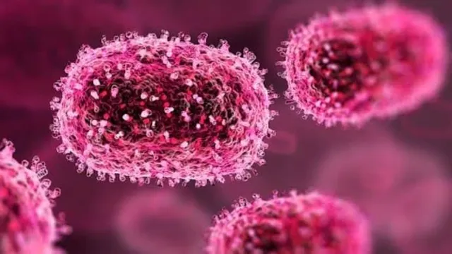 Due to double season there is a sharp increase in viral infection cases in Ahmedabad 13991 cases were registered in Sola Civil