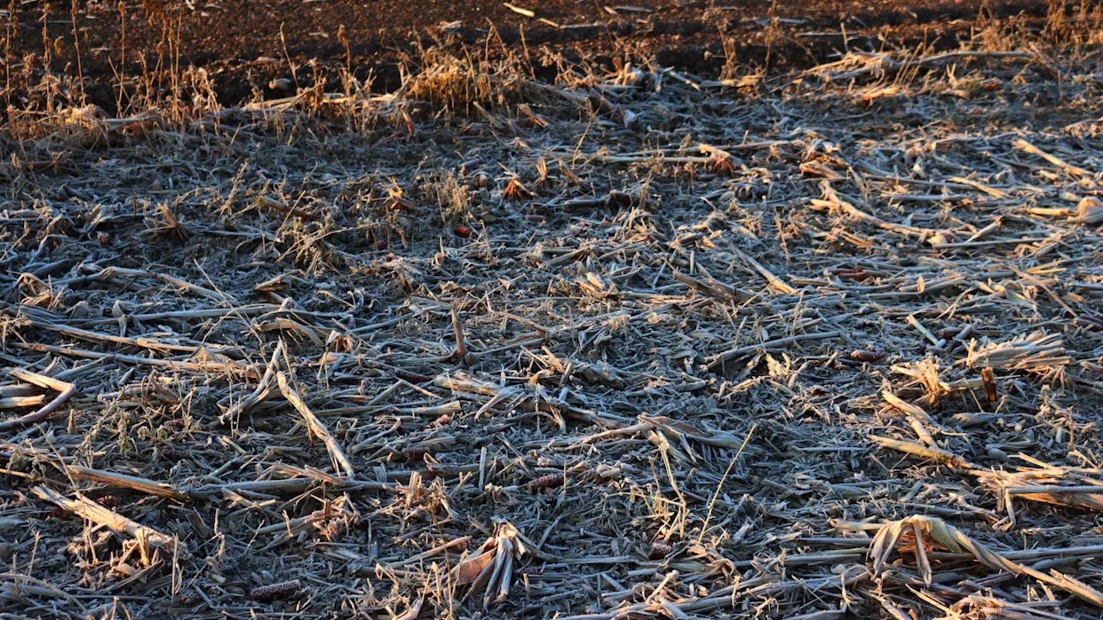 bc710e064f55914bdfbdf9b803d1c98b