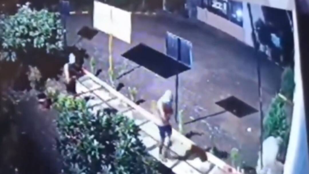 મોડાસામાં ચડ્ડી બનિયાનધારી ચોરીનો પ્રયાસ નિષ્ફળ, પાડોશીઓના જાગરુકતાથી ટોળકી ભાગી ગઇ Attempt to steal shorts and vests in Modasa failed gang flees after neighbors alert