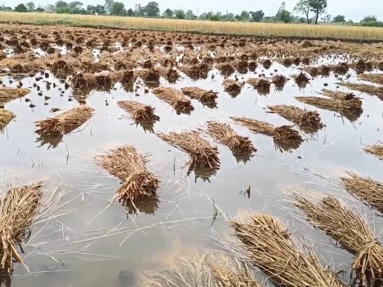 NAVSARJAN SANSKRUTI 29