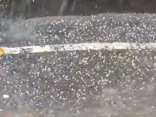 હિમાચલ, લદ્દાખમાં હિમવર્ષા; MP-રાજસ્થાન સહિત ૫ રાજ્યોમાં કરા અને વરસાદ Snowfall in Himachal Ladakh Hail and rain in 5 states including MP Rajasthan