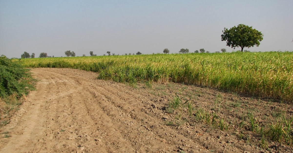 Farmers in Vav threaten to give them no water or vote tension in 22 villages ahead of elections