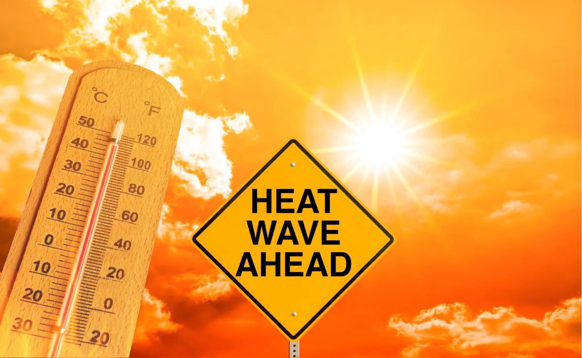 Heat wave Centers advisory special instructions to avoid heat stroke