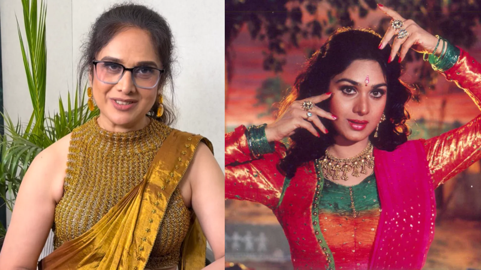 30 વર્ષ બાદ ભારત પરત ફરેલી મીનાક્ષી શેષાદ્રી ફરી ફિલ્મો અને OTTમાં કામ કરવા ઉત્સુક Meenakshi Seshadri who returned to India after 30 years is eager to work in films and OTT again