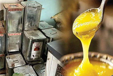 Suspicious ghee worth 16.72 lakhs seized in Palanpur major action by SOG