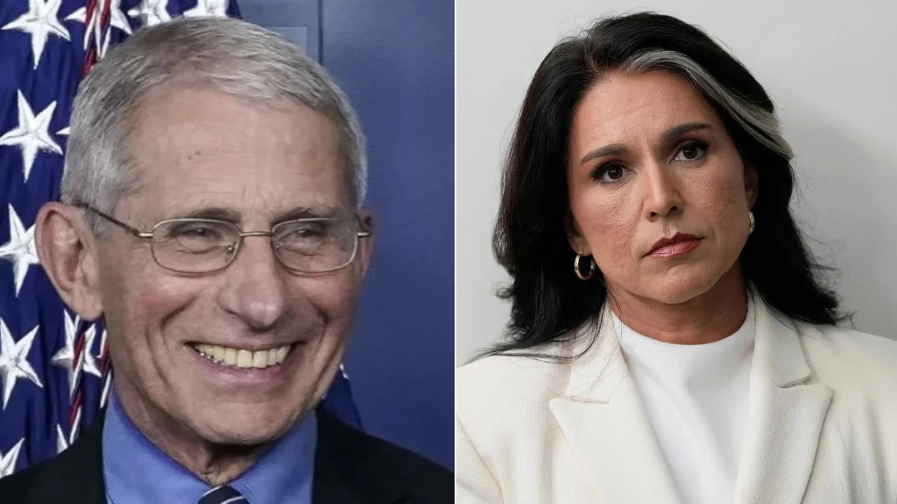Tulsi Gabbards claim creates uproar Serious allegations on Corona funding and Wuhan lab issue