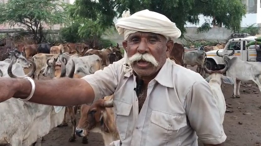 NAVSARJAN SANSKRUTI 1 7