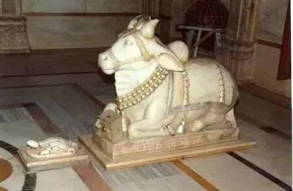 શિવાલયમાં નંદી અને કાચબાનું રહસ્ય: ધર્મ, સંયમ અને શિવપ્રાપ્તિનો આધ્યાત્મિક માર્ગ NAVSARJAN SANSKRUTI